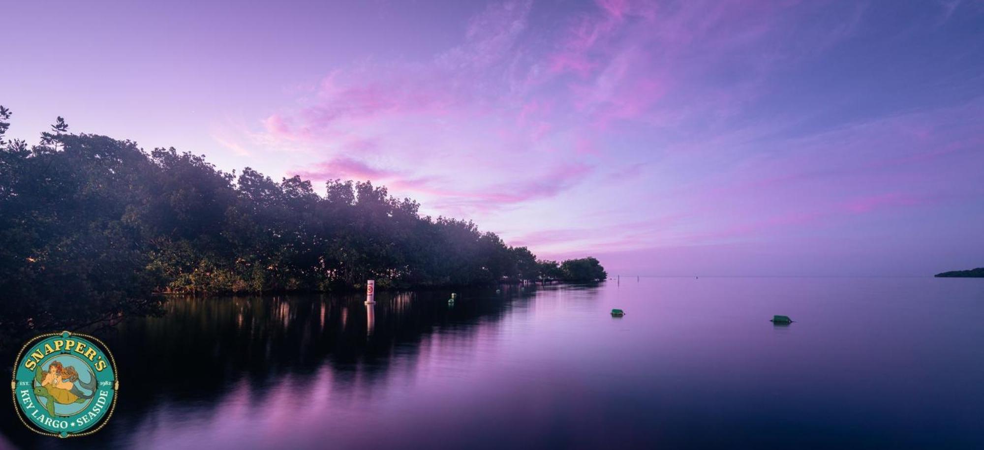 Snappers Key Largo Hotel Buitenkant foto